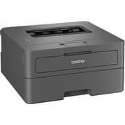 Brother HL-L2400D Laser Printer