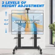 Mobile TV Cart For 65