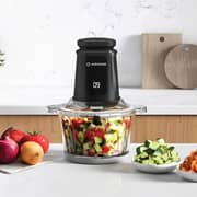 Nutricook Chopper NC-CH2000