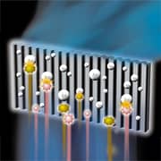 Panasonic Top Mount Refrigerator 515 Litres NR-BC641VSMA