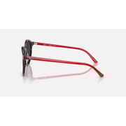 Rayban Bernard Round Red/Transparent Sunglasses For Men & Women RB2230