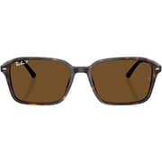 Rayban Raimond Square Havana Sunglasses For Men & Women RB2231