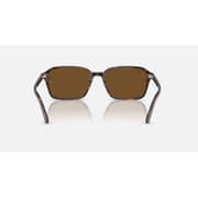 Rayban Raimond Square Havana Sunglasses For Men & Women RB2231