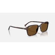 Rayban Raimond Square Havana Sunglasses For Men & Women RB2231