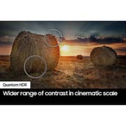 Samsung 65inch QE1D 4K QLED Smart Television (2024 Model)