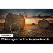 تلفزيون سامسونج الذكي بتقنية QLED ودقة 4K مقاس 55 بوصة (موديل 2024) QE1D