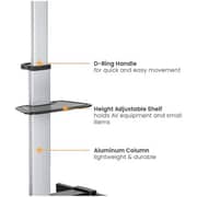 Newstar Sturdy TV Cart Stand Silver/Black