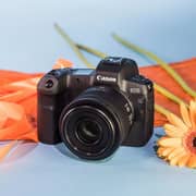 Canon RF 35mm F1.8 Macro IS STM Lens