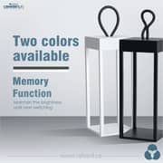 Rafeed LM30448-1 LED Table Lamp