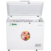 Stargold Single Door Chest Freezer 250 Litres SG-HCF250L