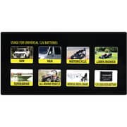 Terminator TBC12V20S Battery Charger