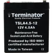 Terminator 12V4.5AH Battery