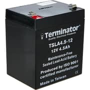 Terminator 12V4.5AH Battery