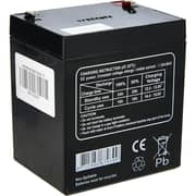Terminator 12V4.5AH Battery
