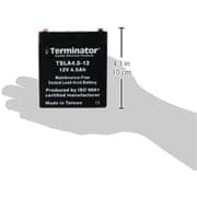 Terminator 12V4.5AH Battery