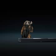 Sennheiser AMBEO Plus Soundbar SB02M