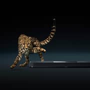 Sennheiser AMBEO Plus Soundbar SB02M