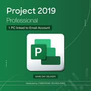 Microsoft Project 2019 Professional 1 PC License Green