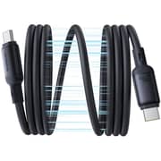 Baseus PicoGo Magnetic Fast Charging Type-C To Type-C Cable 1m Black