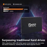 Dato Internal SATA SSD 1TB Black DS700SSDA