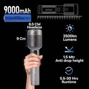 Philips SFL5102/56 Flash Light 60W