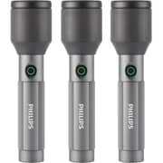 Philips SFL2142C3/56 Flash Light 24W 3 Pack