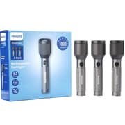 Philips SFL2142C3/56 Flash Light 24W 3 Pack