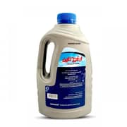 Bissell EVO1 Hard Floor Cleaner