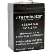 Terminator TSLA 4.5-6 Lead Acid Battery
