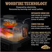 Ninja OG850UK Woodfire Pro XL Electric BBQ Grill, Smoker & Air Fryer