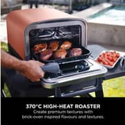Ninja OO101UKRAW Woodfire 8-in-1 Outdoor Oven, BBQ, Bake, Roast – 1700W
