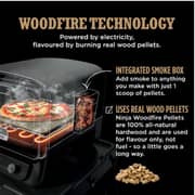 Ninja OO101UKRAW Woodfire 8-in-1 Outdoor Oven, BBQ, Bake, Roast – 1700W