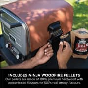 Ninja OO101UKRAW Woodfire 8-in-1 Outdoor Oven, BBQ, Bake, Roast – 1700W