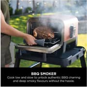 Ninja OO101UKRAW Woodfire 8-in-1 Outdoor Oven, BBQ, Bake, Roast – 1700W