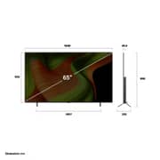 LG 65 inch OLED AI B5 4K 120Hz Smart TV AI Magic remote webOS25 (2025)