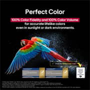 LG 77 inch OLED evo AI C5 4K 144Hz Smart TV AI Magic remote webOS25 (2025)
