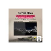 LG 65 Inch OLED evo AI CS5 4K 120Hz Smart TV AI Magic remote WebOS25 (2025)