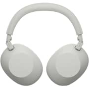 Sony WH Series Wireless Noise Cancelling Over-Ear Headphones - Platinum Silver