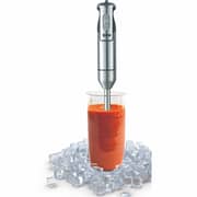 Zen Hand Blender - ZSB107A