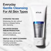 Anua 8 Hyaluronic Acid Hydrating Gentle Foaming Cleanser White