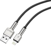 Helix Lightning Cable 1.2m Silver - Heli Cord-UL