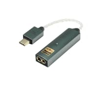 iFi Audio Amplifier and DAC Link - GO Max