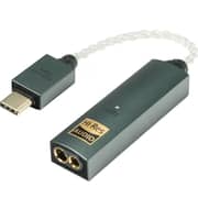 iFi Audio Amplifier and DAC Link - GO Max