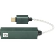 iFi Audio Amplifier and DAC Link - GO Max