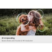 تلفزيون سامسونج QN80F الذكي بشاشة Neo QLED دقة 4K مقاس 55 بوصة يدعم Vision AI موديل (2025)