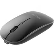 Totulife Duo Wireless Mouse Black - T-WLMSCDBK