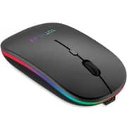 Totulife Duo Wireless Mouse Black - T-WLMSCDBK