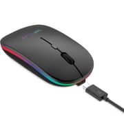 Totulife Duo Wireless Mouse Black - T-WLMSCDBK