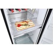 LG 382L Upright Refrigerator, Inverter Compressor, 1-Star Rating, Multi Air Flow, Beige, LOB451FGPM
