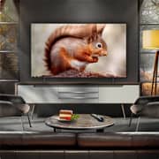 LG 65inch OLED AI B5 4K Smart Televison (2025 Model) - OLED65B56LA.DMEQLWE